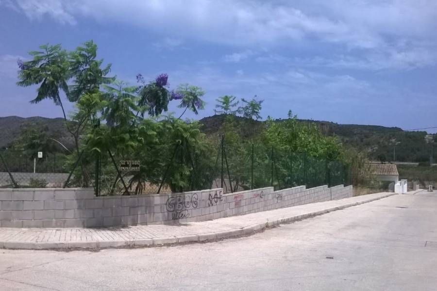 Vente - Parcelle de terrain  - Gandia - Marxuquera