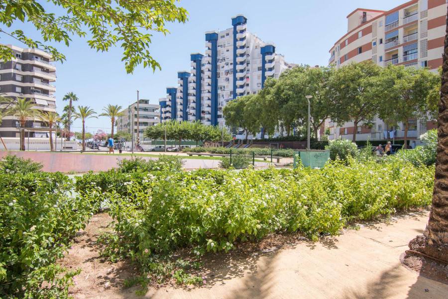 Venta - APARTAMENTO - Gandia - Playa de Gandia