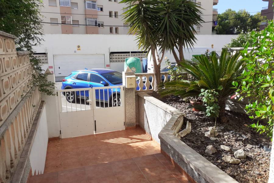 Location a l'année  - APPARTEMENT - Miramar - Playa