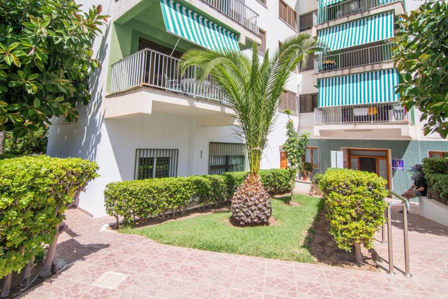 Venta - APARTAMENTO - Gandia - Playa de Gandia