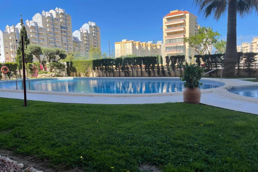 Location a l'année  - APPARTEMENT - Gandia - Playa de Gandia