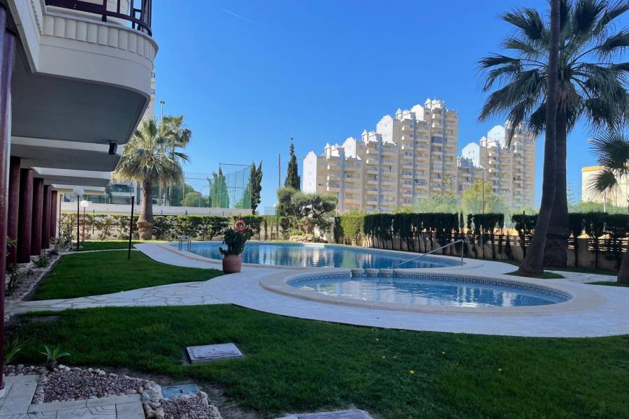 Location a l'année  - APPARTEMENT - Gandia - Playa de Gandia