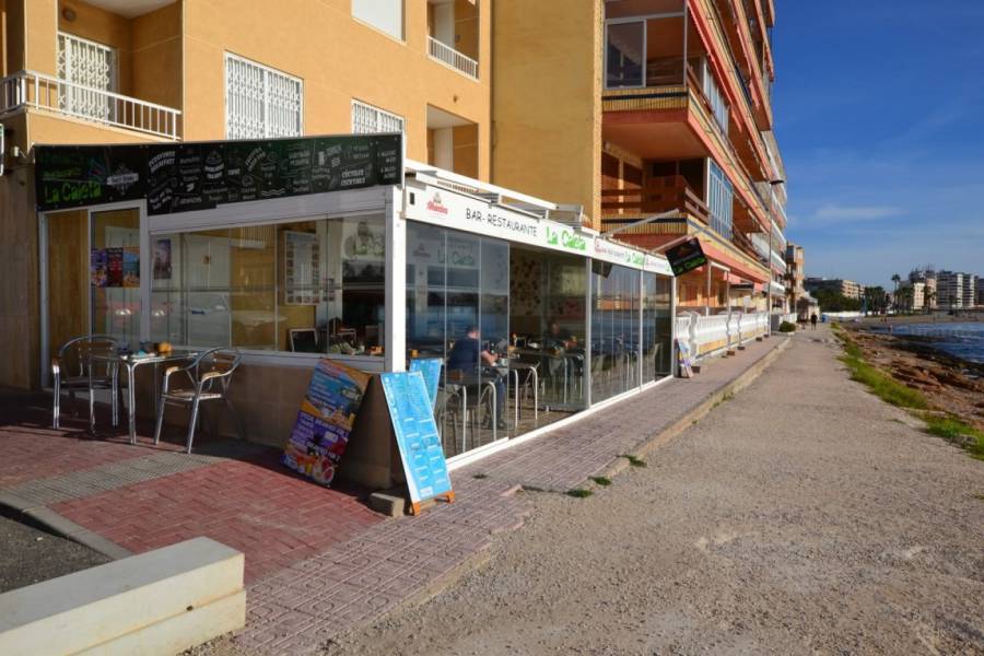 Location a l'année  - Local commercial  - Torrevieja - Acequion
