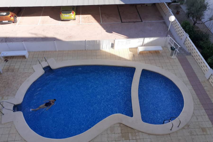 Location a l'année  - APPARTEMENT - Miramar - Playa