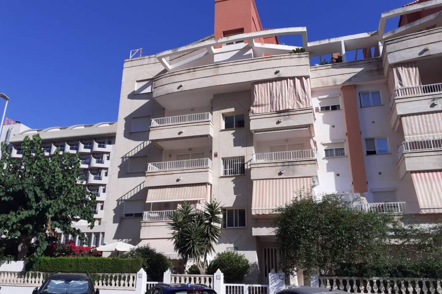 Location a l'année  - APPARTEMENT - Miramar - Playa