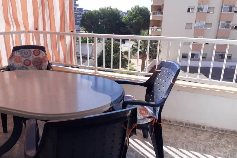 Location a l'année  - APPARTEMENT - Miramar - Playa