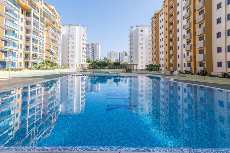 Vente - APPARTEMENT - Gandia - Playa de Gandia