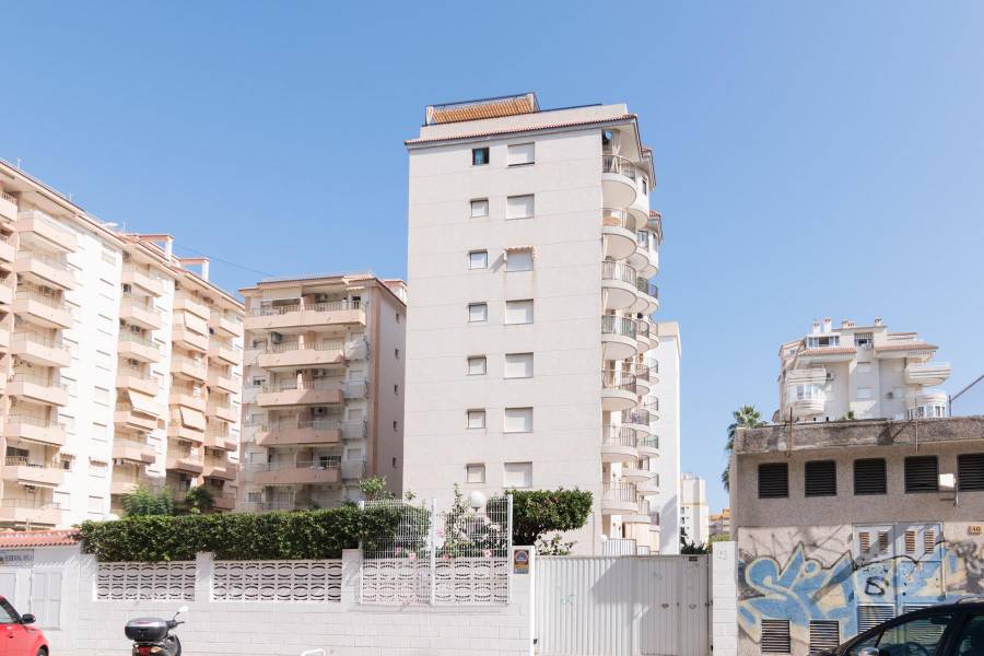 Vente - APPARTEMENT - Gandia - Playa de Gandia